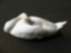 A Creation -1