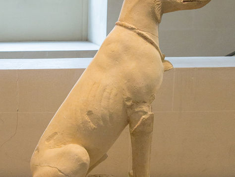 Paw-some Revelations: Basenjis' Epic Journey Through Time with Ancient Dog Magic! 🐾⏳🔍