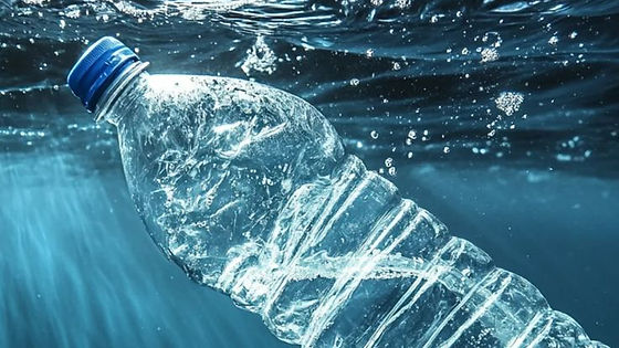 Water Bottle
