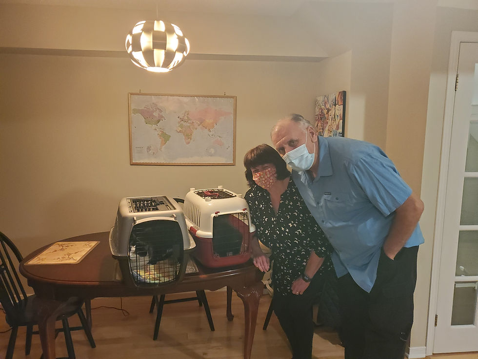 Two cats getting adopted and finding there forever home with loving pet parents.