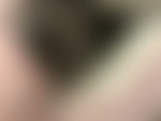 Lia loves her cat sitter at Priority Pets. Nice and comfy sleeping in her blanket. Lia pet boarding.