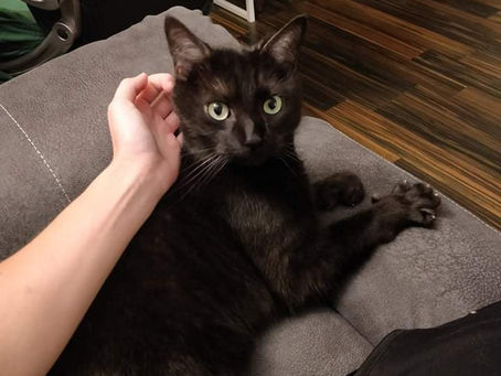 Cuddles and more Cuddles
