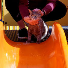 Grace on the slide