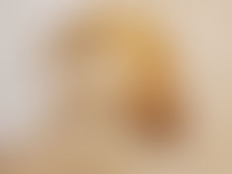 Carpet floors are always so comfortable to roll around on