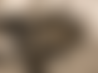 Top Mistakes Pet Owners Make When Traveling Without Their Cats (And How to Avoid Them)