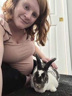 La garde de chat fournit des animaux de compagnie à un mignon petit lapin.