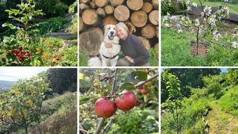 Winter Pruning Workshop with Penny Austin