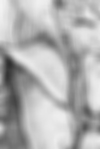satoshi-preview_edited.jpg