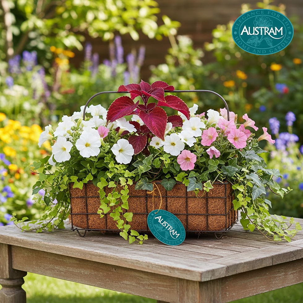 Flowers in Progro Petite Rectangular planter
