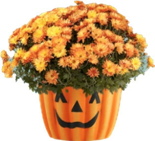 Plastic Pumpkin with flowers