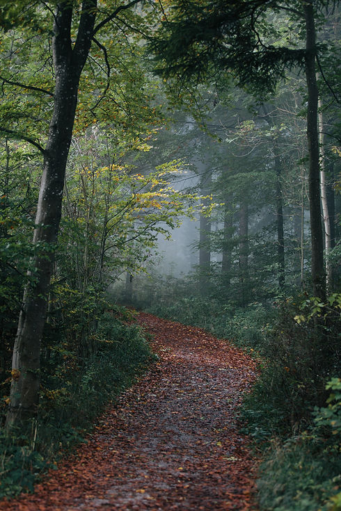 marco-meyer-590342-unsplash.jpg