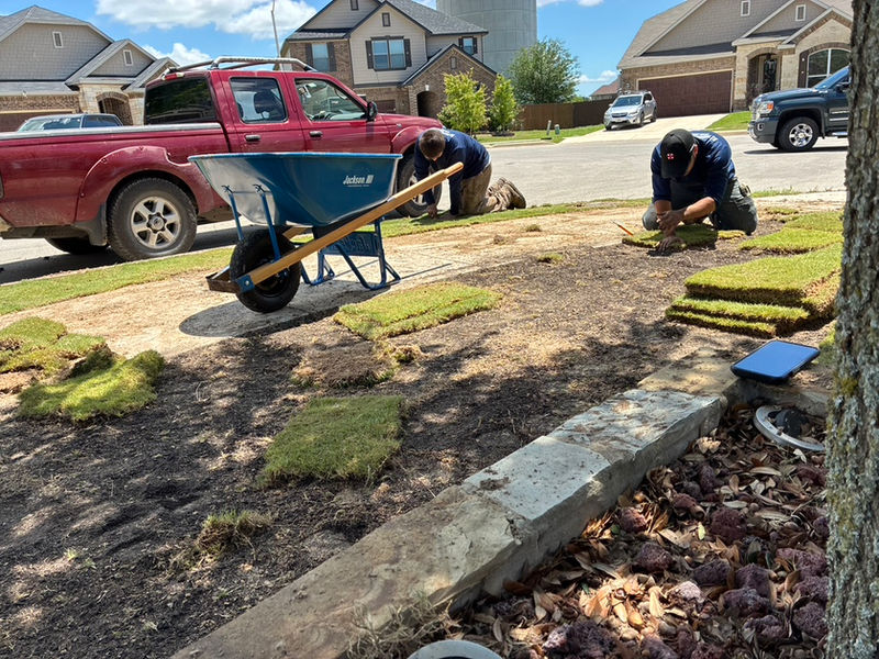 Sod Installation & Lawn Restorations