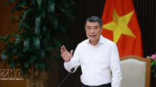 Vietnam Cuts Conditional Business Lines to 142: What Businesses and Foreign Investors Need to Know in 2026