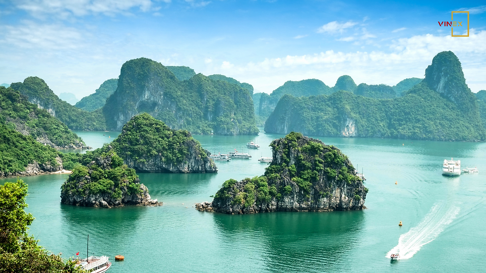 The Tourism Industry in Vietnam 2025: Growth, Policy Shifts & Global Opportunities