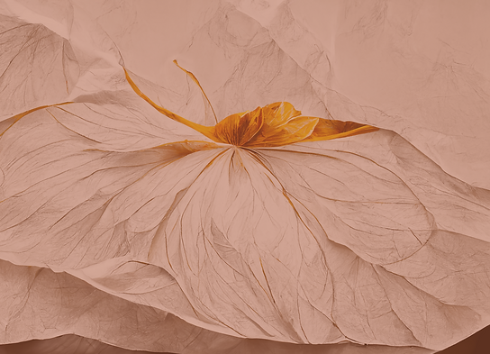 Untitled design (7).png