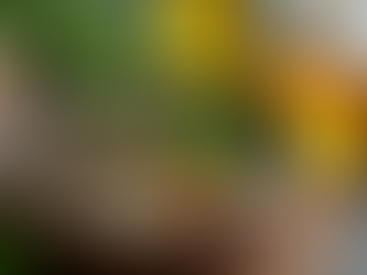 Discover the Healing Power of Holistic Beauty Treatments