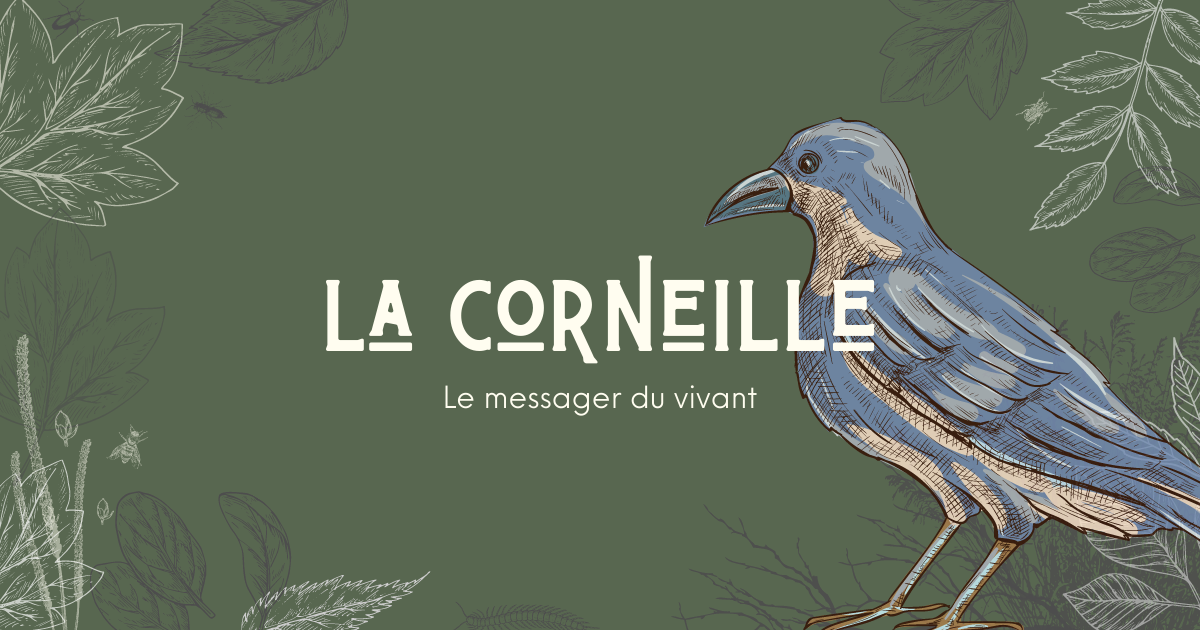À propos La Corneille À propos La Corneille
