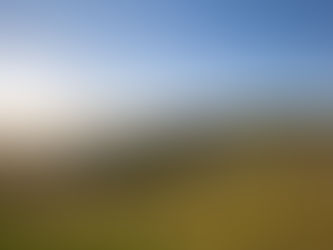 Quanto Tempo Leva a Visita no Olivas de Gramado? Planeje Seu Passeio