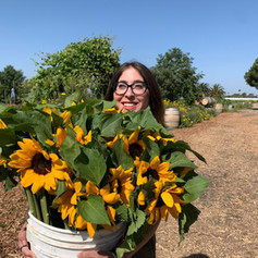 Cut your own flowers