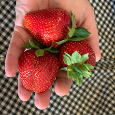 A Handful of Yummy!
