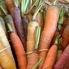 Tri-color Organic Carrots