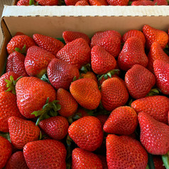 The Sweetest Strawberries you have ever tasted.