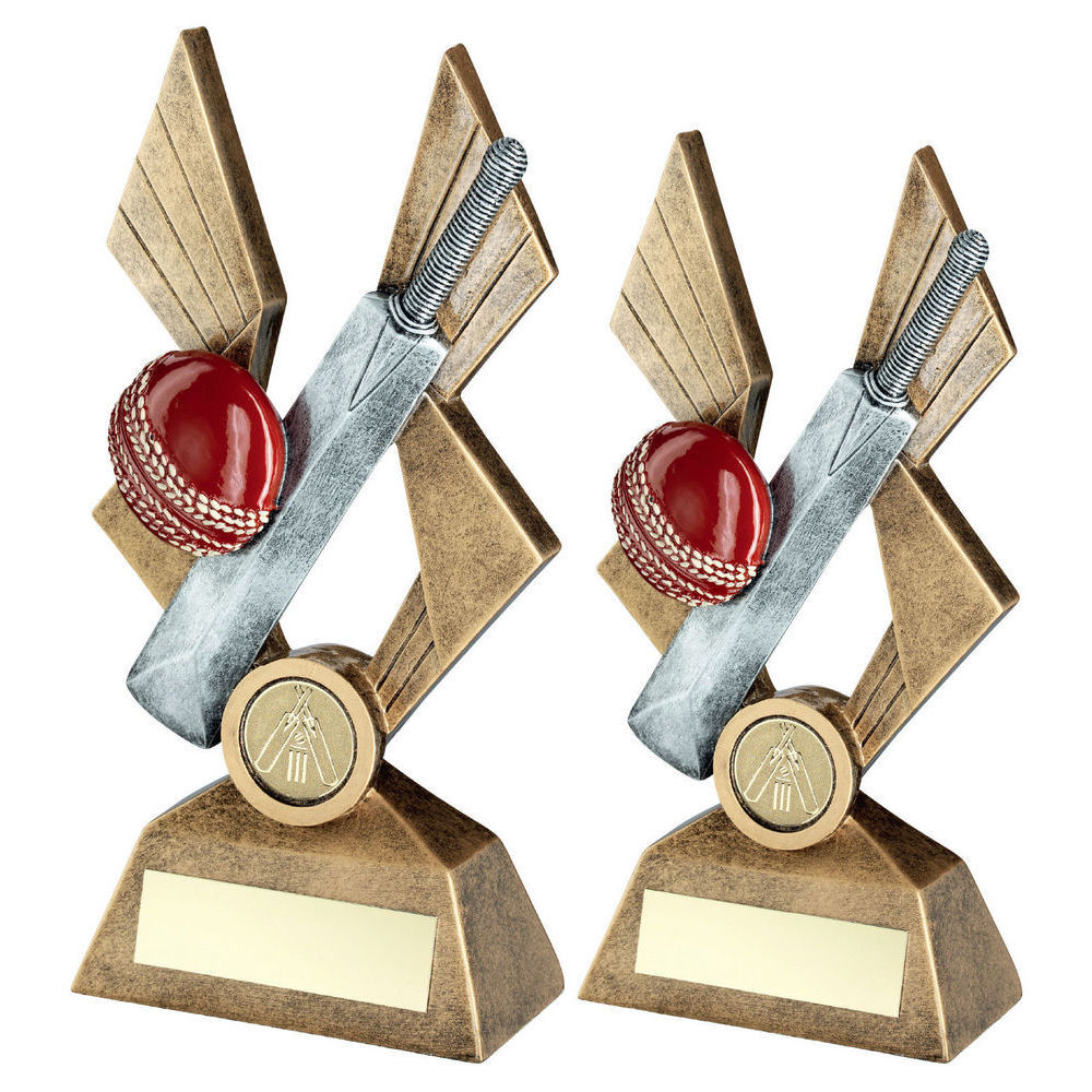 CRICKET BALL AND BAT ON POINTED BACKDROP