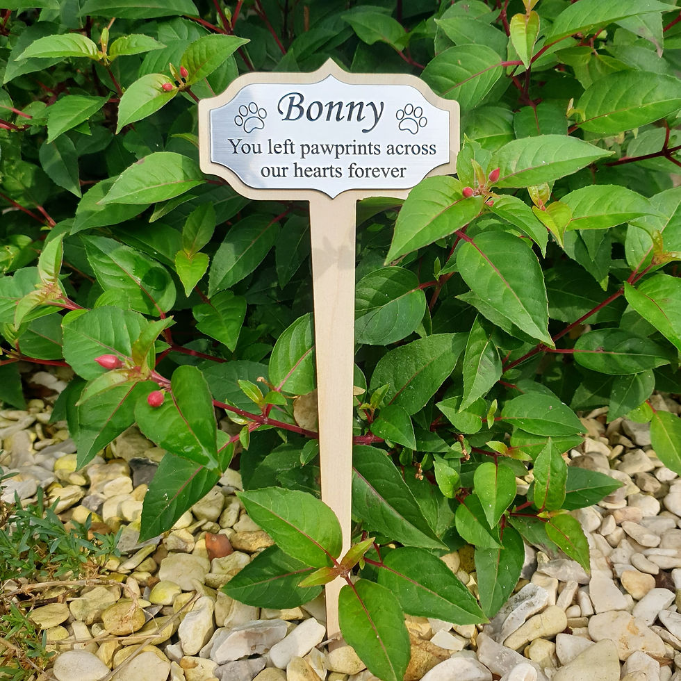 Thumbnail: Memorial Ground Plaque