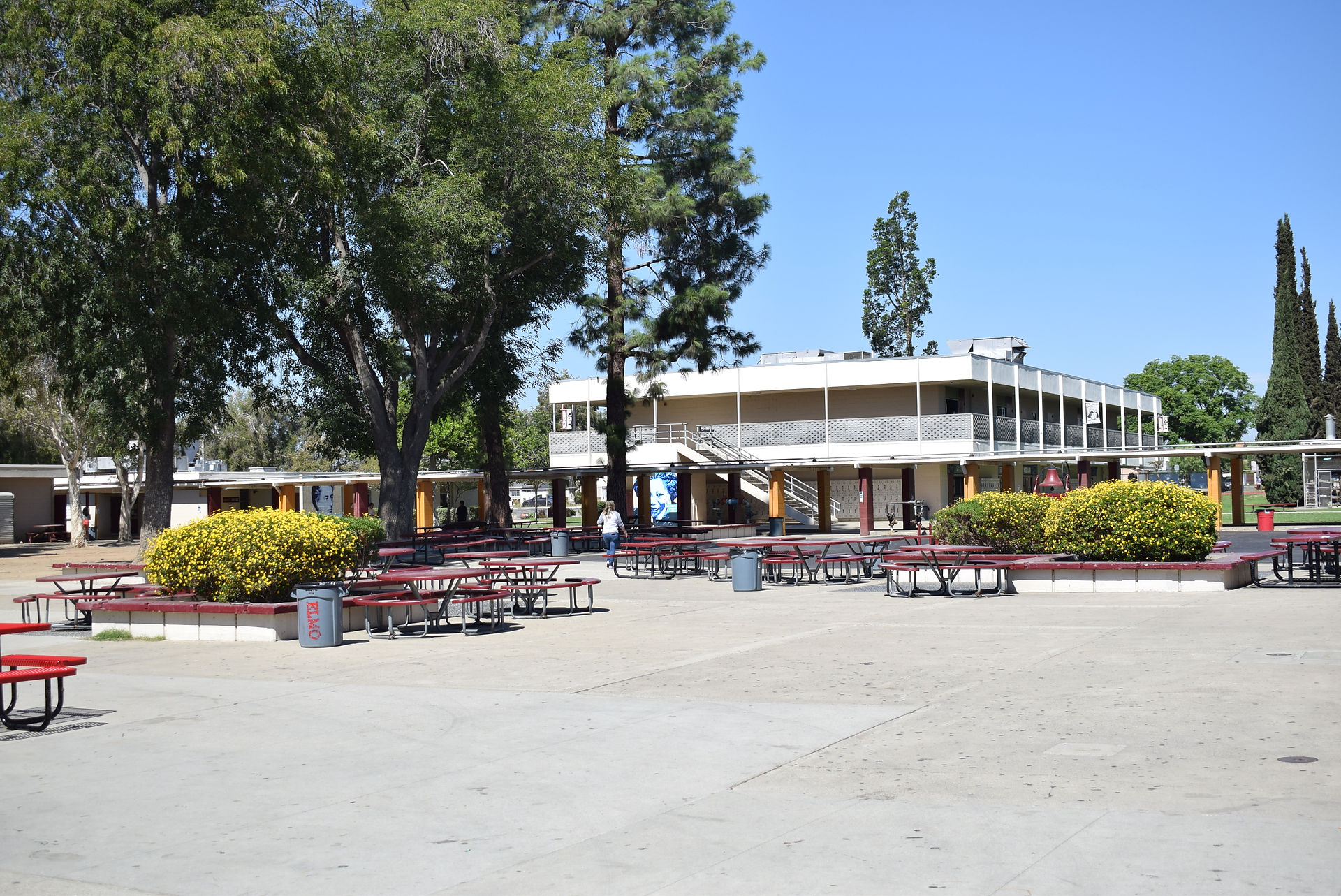 Quad