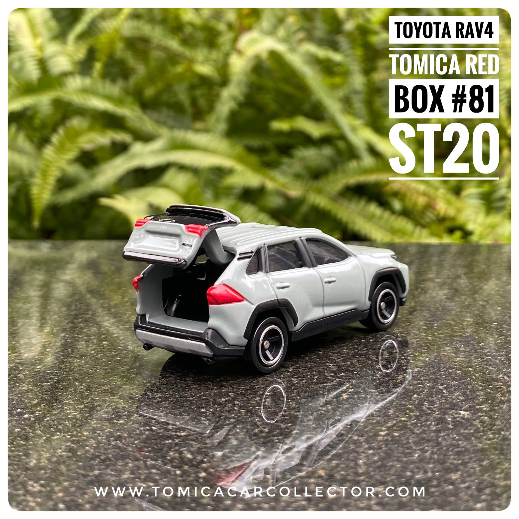 rav4 tomica