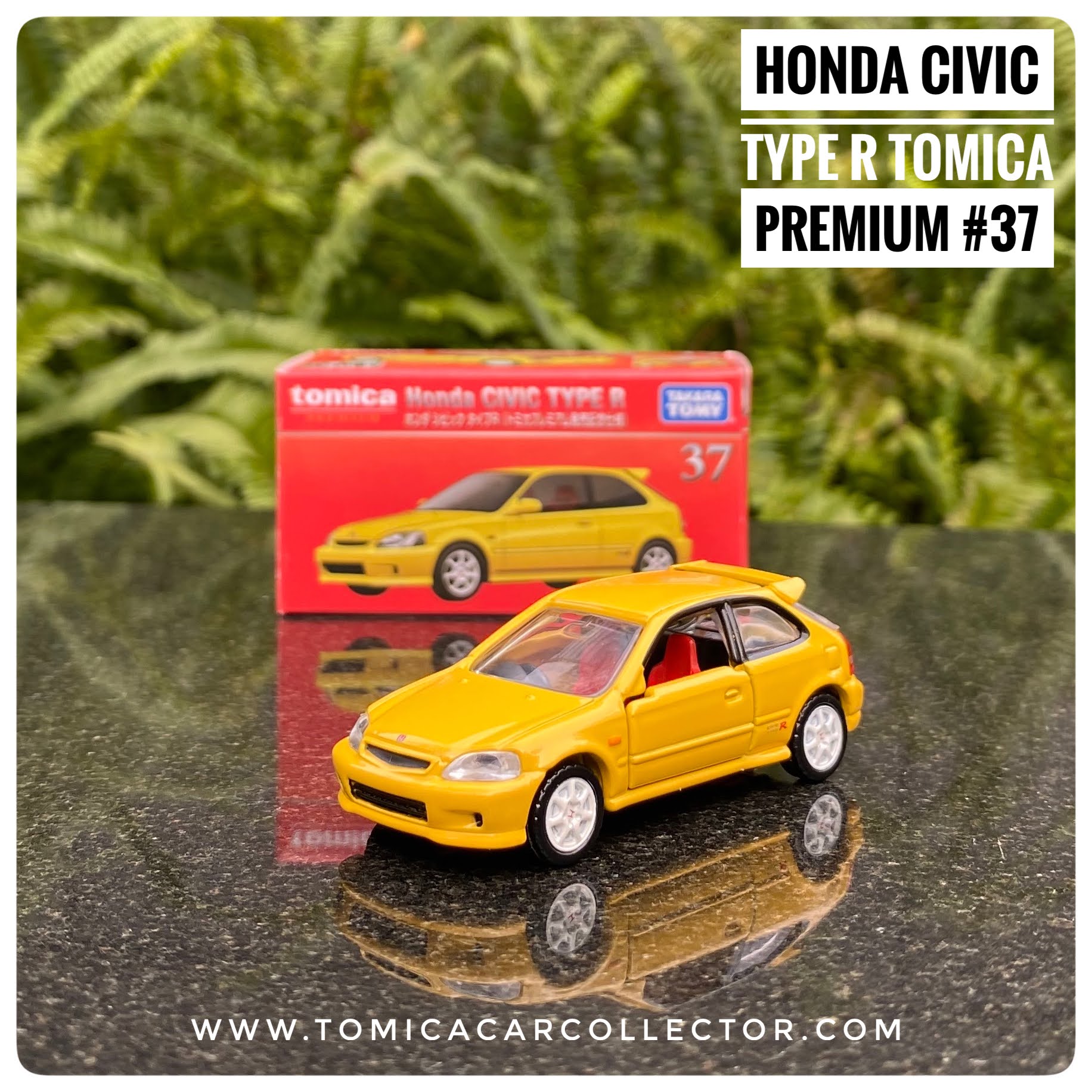 tomica collector