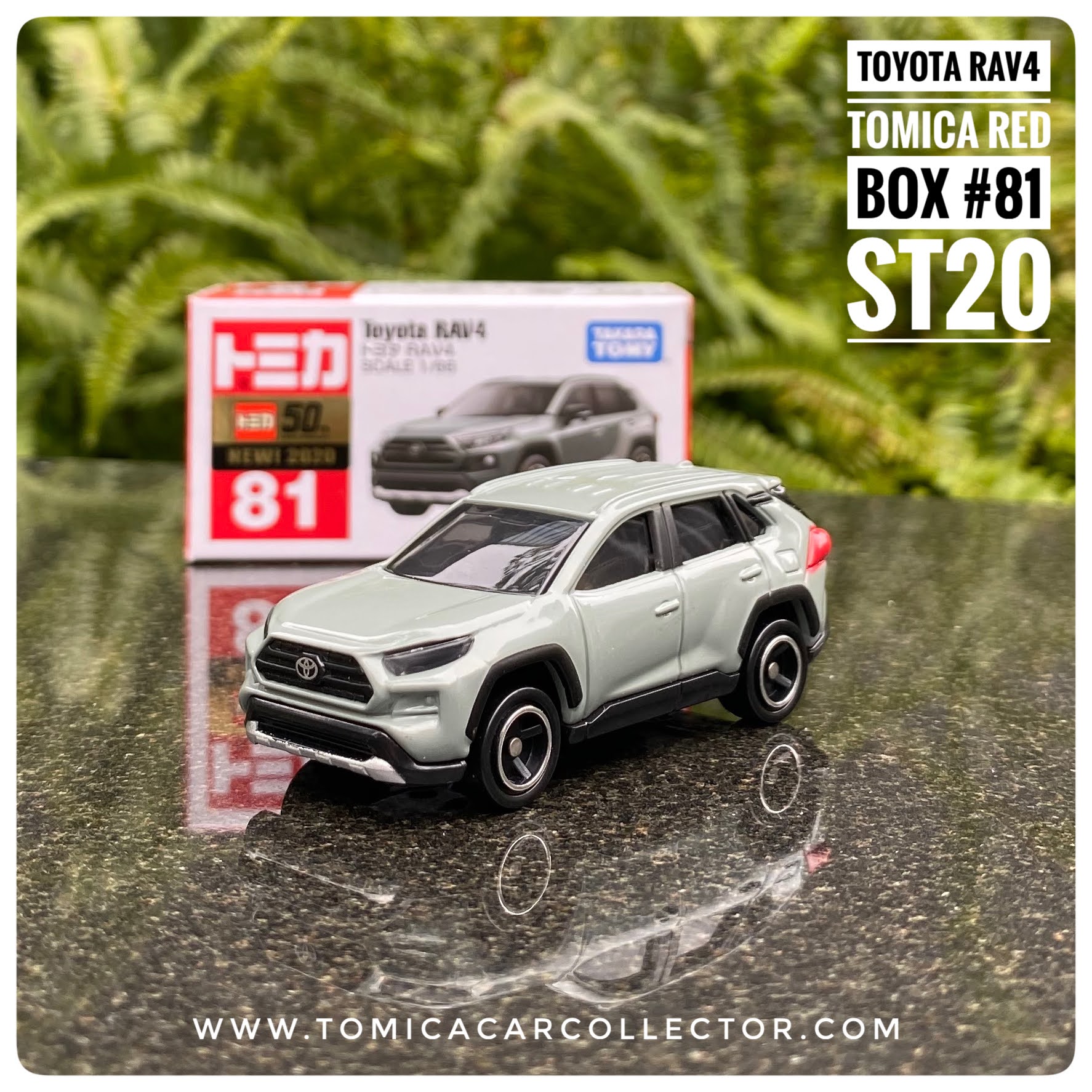 rav4 tomica