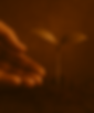 6.png