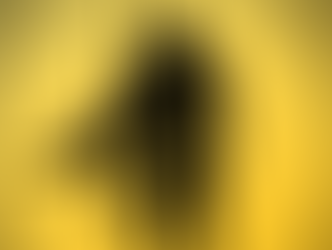 राम मंदिर ट्रस्ट ने भक्तों से अभिषेक समारोह पर भावनाओं को दर्शाने वाले वीडियो पोस्ट करने का आग्रह किया है