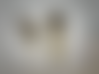 कालाहांडी में ओडिशा के खुफिया कर्मियों के साथ मुठभेड़ में तीन माओवादी मारे गए।