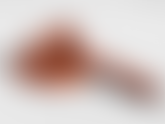 महुआ मोइत्रा के निष्कासन पर SC ने लोकसभा महासचिव को नोटिस जारी किया