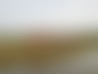 असम एवं मेघालय सीमा विवाद सुलझाने पर सहमत।