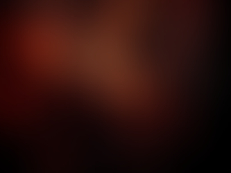 पटाखों की बिक्री की अनुमति नहीं दी जा सकती: दिल्ली उच्च न्यायालय