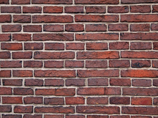 अयोध्या में राम मंदिर का निर्माण विशेष ईंटों से किया जाएगा