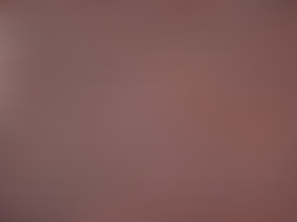 अयोध्या में राम मंदिर का निर्माण विशेष ईंटों से किया जाएगा