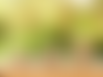 बंगाल की मुख्यमंत्री ममता बनर्जी ने विधायकों के वेतन में बढ़ोतरी की घोषणा की।