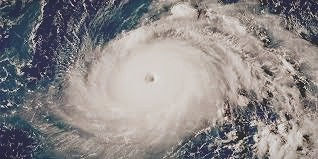 टाइफून ने दक्षिण कोरिया में 20,000 घरों को बिजली के बिना छोड़ दिया ।