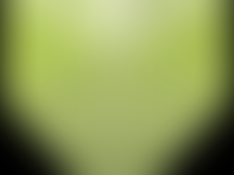 भाजपा दिसंबर 2023 में लोकसभा चुनाव करा सकती है, प्रचार के लिए सभी हेलीकॉप्टर बुक : ममता बनर्जी