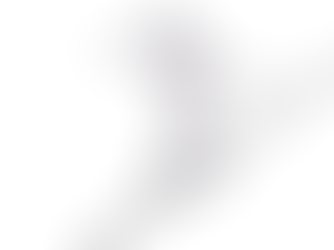 लद्दाख में किसी को भी भारतीय धरती पर आने की इजाजत नहीं देंगे: उत्तरी सेना प्रमुख