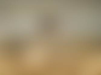 कावेरी जल विवाद: कर्नाटक के विरोध में तमिलनाडु में 40 हजार से अधिक दुकानें बंद रहीं