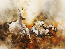 नई दिल्ली रेलवे स्टेशन पर भगदड़ के बाद सुरक्षा बढ़ाई गई, नई सलाह जारी