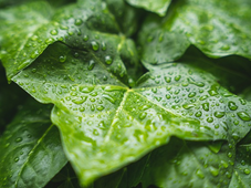 मानसून ने मामूली प्रगति की; अगले 4-5 दिनों में लू से राहत मिलने की संभावना: आईएमडी