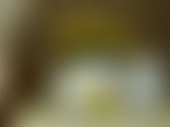 ब्रिटेन की महारानी एलिजाबेथ द्वितीय की सेहत को लेकर डॉक्टर 'चिंतित'।