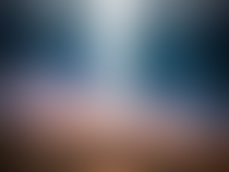 सीआईए के अवर्गीकृत दस्तावेज़ में कहा गया है कि 'एलियंस' ने 23 सैनिकों को दूसरी दुनिया में मुठभेड़ में पत्थर में बदल दिया