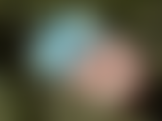 ईशा अंबानी ने जुड़वा बच्चों को जन्म दिया।